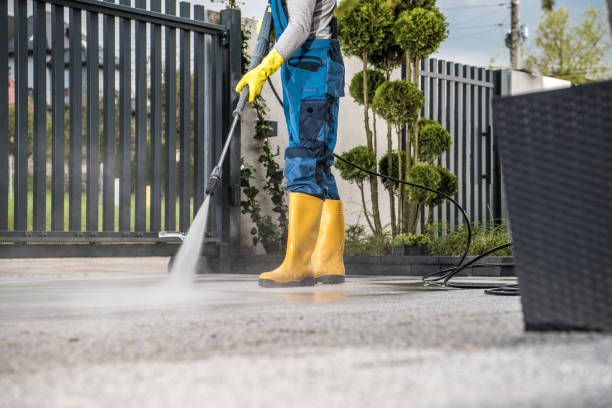 Best Gutter Cleaning  in Elk River, MN